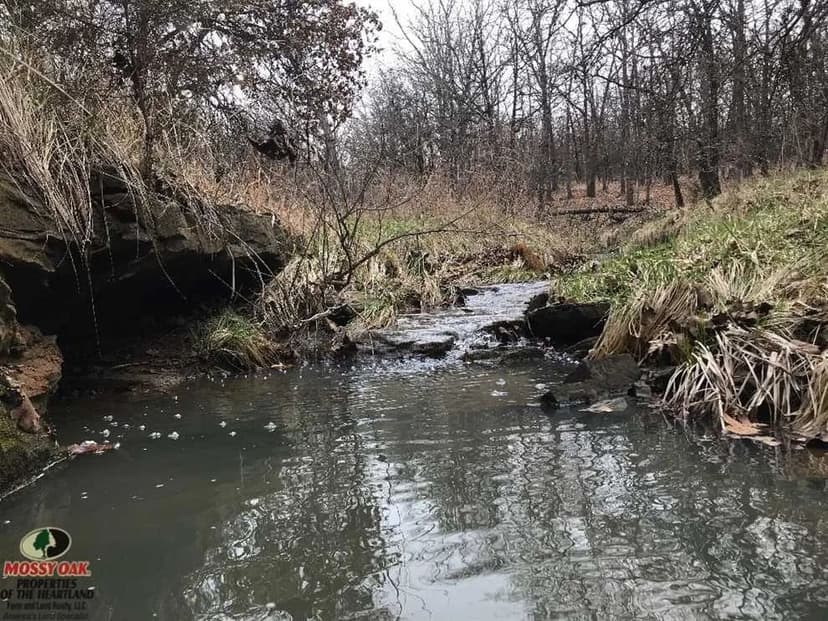 99 +/- Acre Chautauqua County, Kansas Hunting Farm