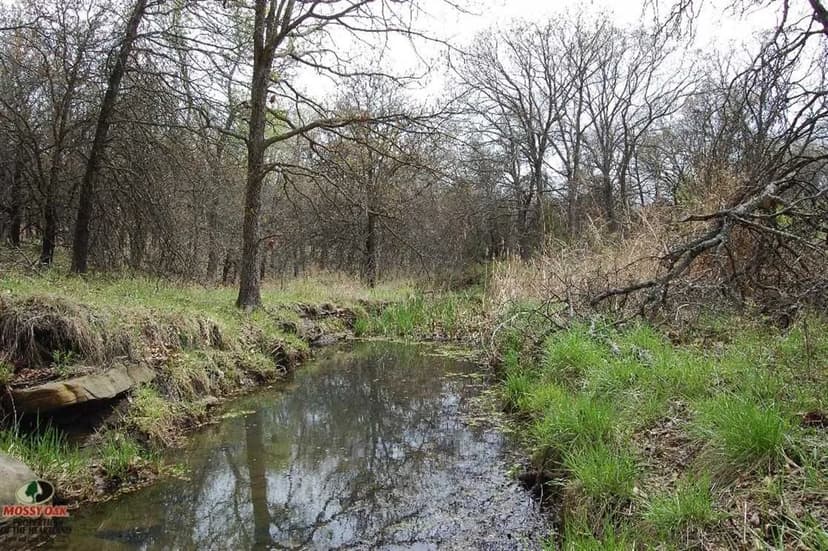 Remote Kansas Cabin and Hunting Land