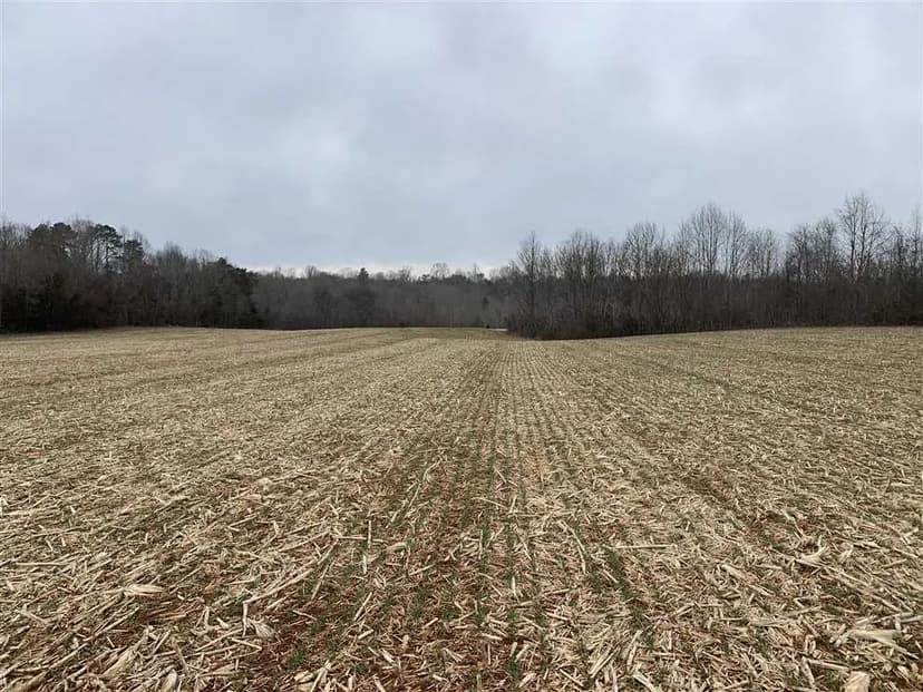 31+/- acres in Mocksville, Davie County