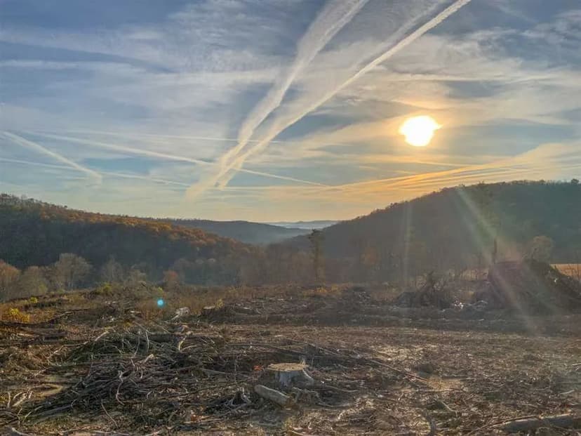 Henley Comstock Rd - 90 acres - Scioto County