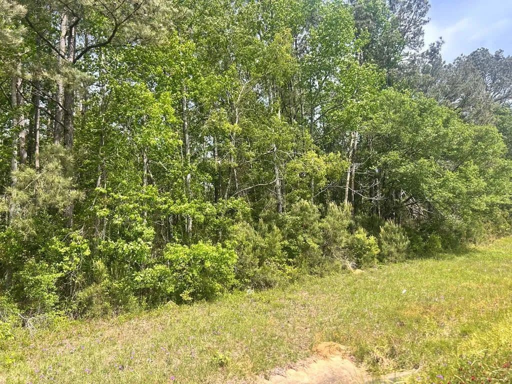 Property from Tbd Hwy 44e - KW - Mccomb, Mississippi, 39648