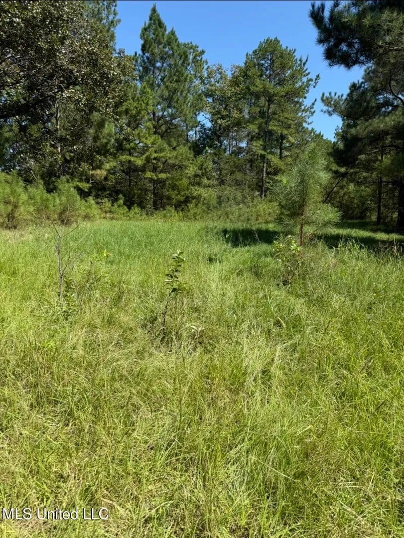 Property from County Road 1113 - KW - Kosciusko, Mississippi, 39090