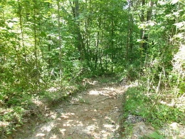 18.32 Acres of Land for Sale in Bloomfield, Indiana - Bloomfield, Indiana, 47424