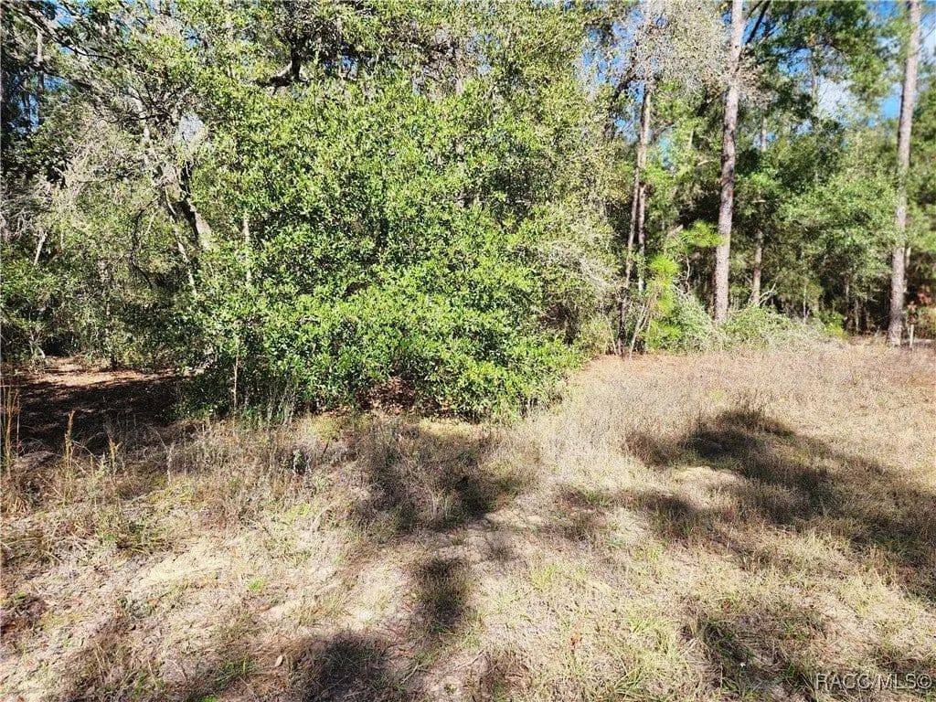 Lots & Land-Other in Citrus Springs - Citrus Springs, Florida, 34434