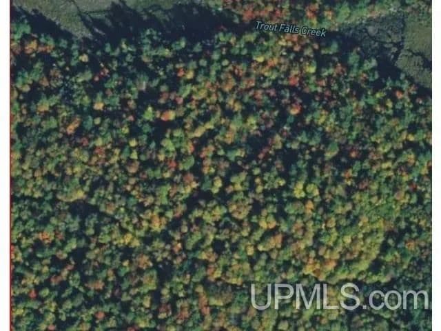 77.19 Acres of Land for Sale in Republic, MI - Republic, Michigan, 49879