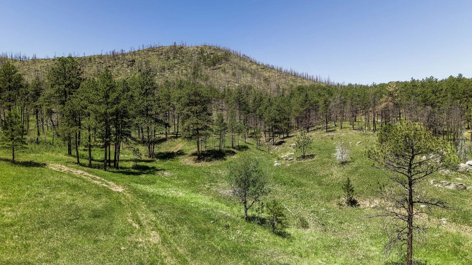 High Mountain Meadow 95 - Loveland, Colorado, 80538