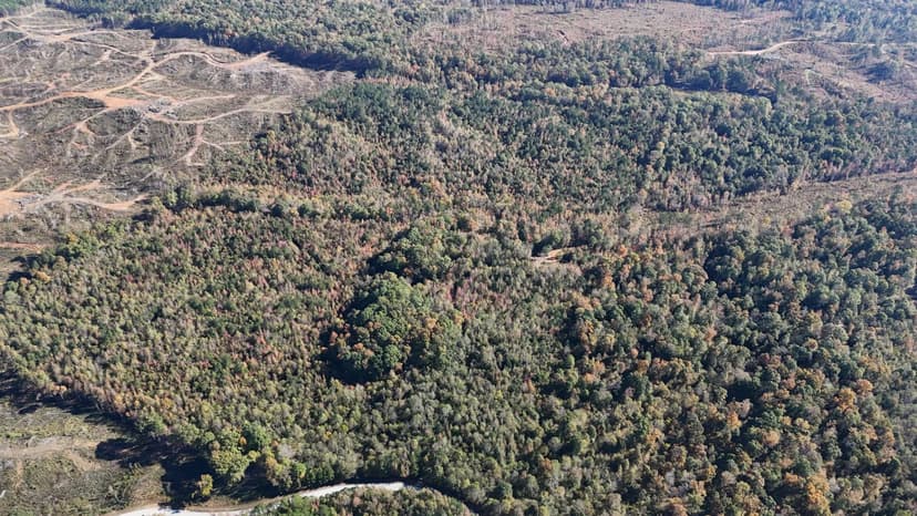 71 Acres in Union County, MS