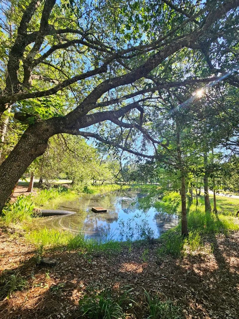 Property from 1514 Sweetbay Trail - KW - land for sale