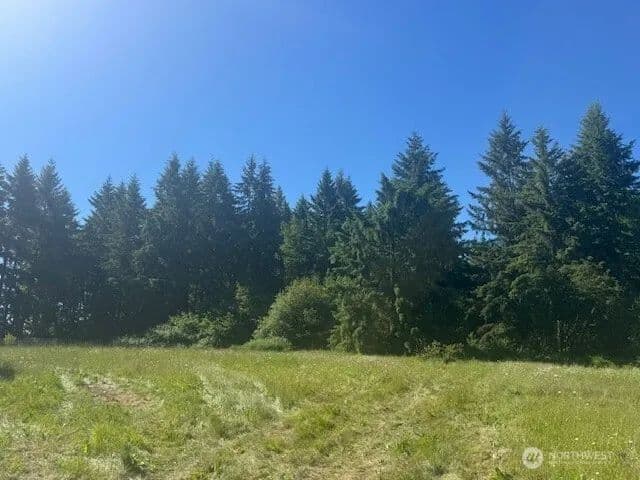 Land -Single Family Acreage in Onalaska - Onalaska, Washington, 98570