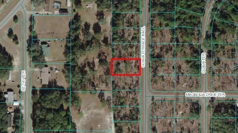 Property from 0 GUAVA TERRACE RADIAL - KW - Ocklawaha, Florida, 32179