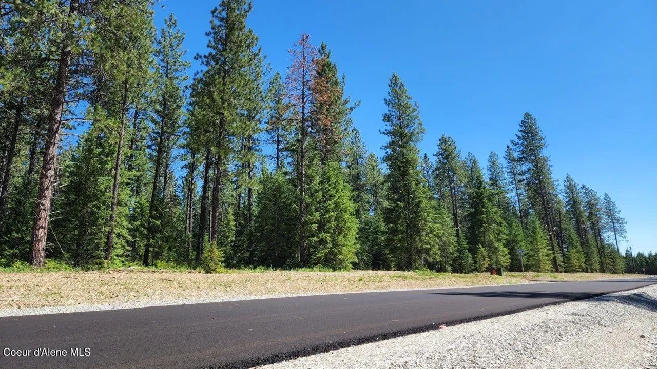 Vacant Land in Athol - Athol, Idaho, 83801