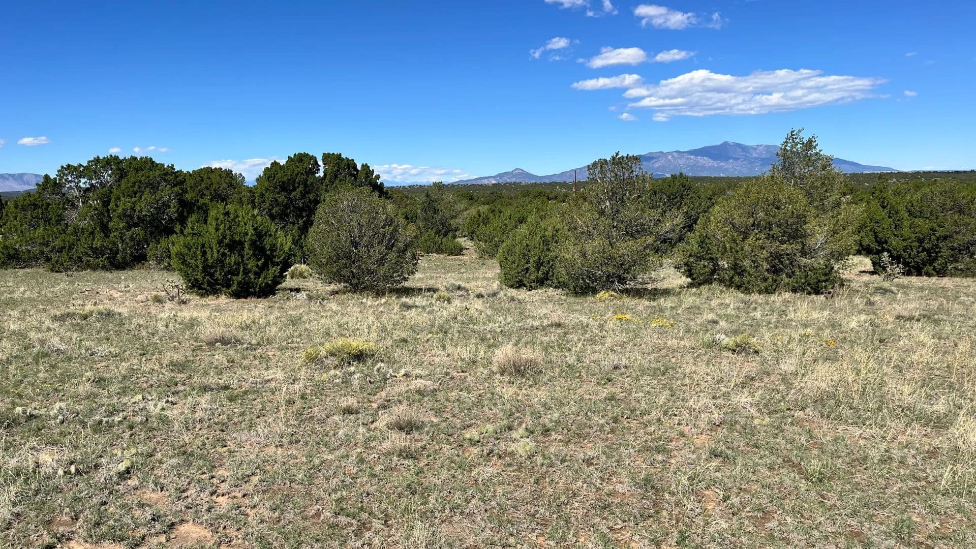 City Ranch Parcel 34 - land for sale