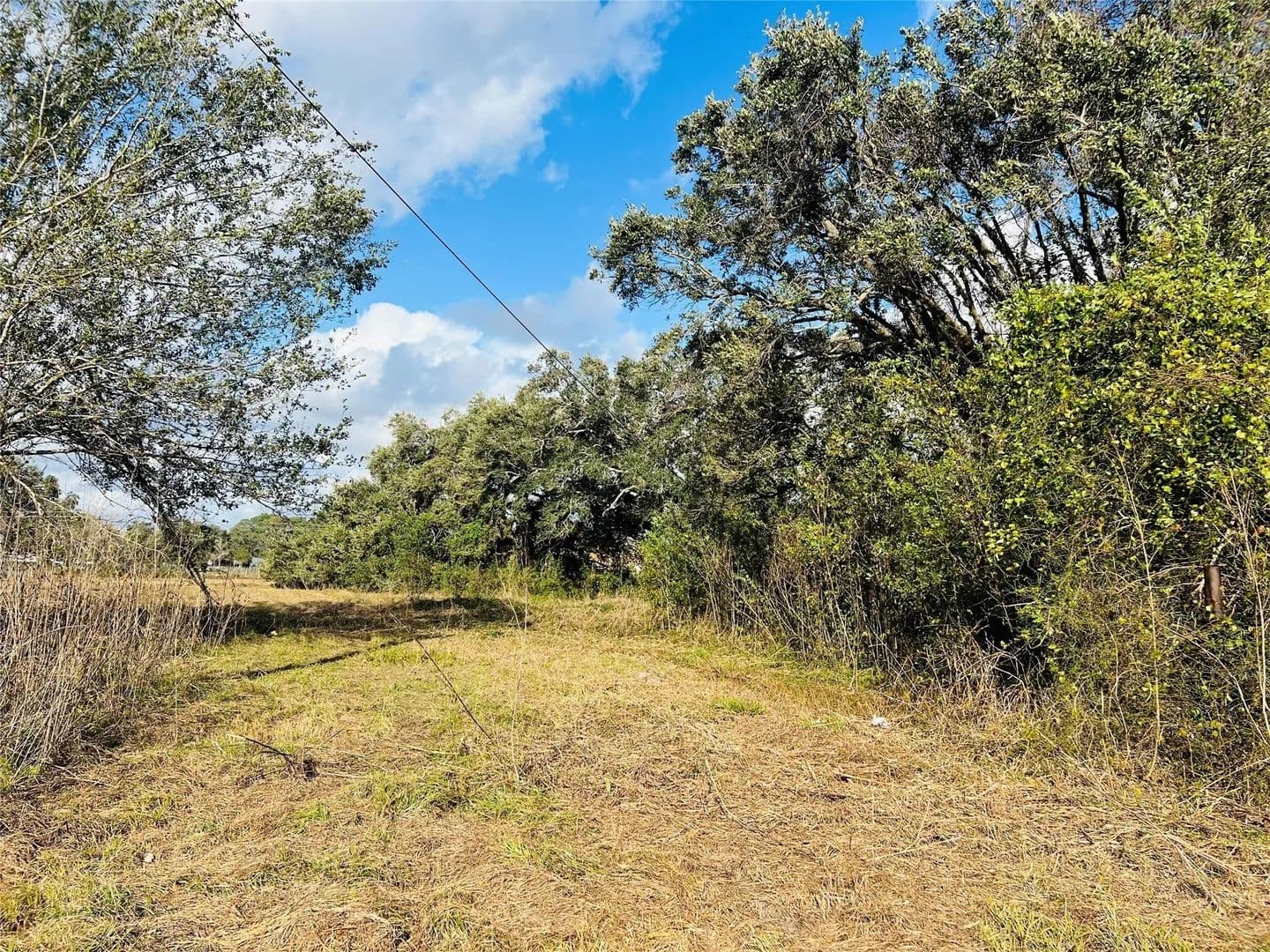 Lots & Land-Other in Angleton - land for sale