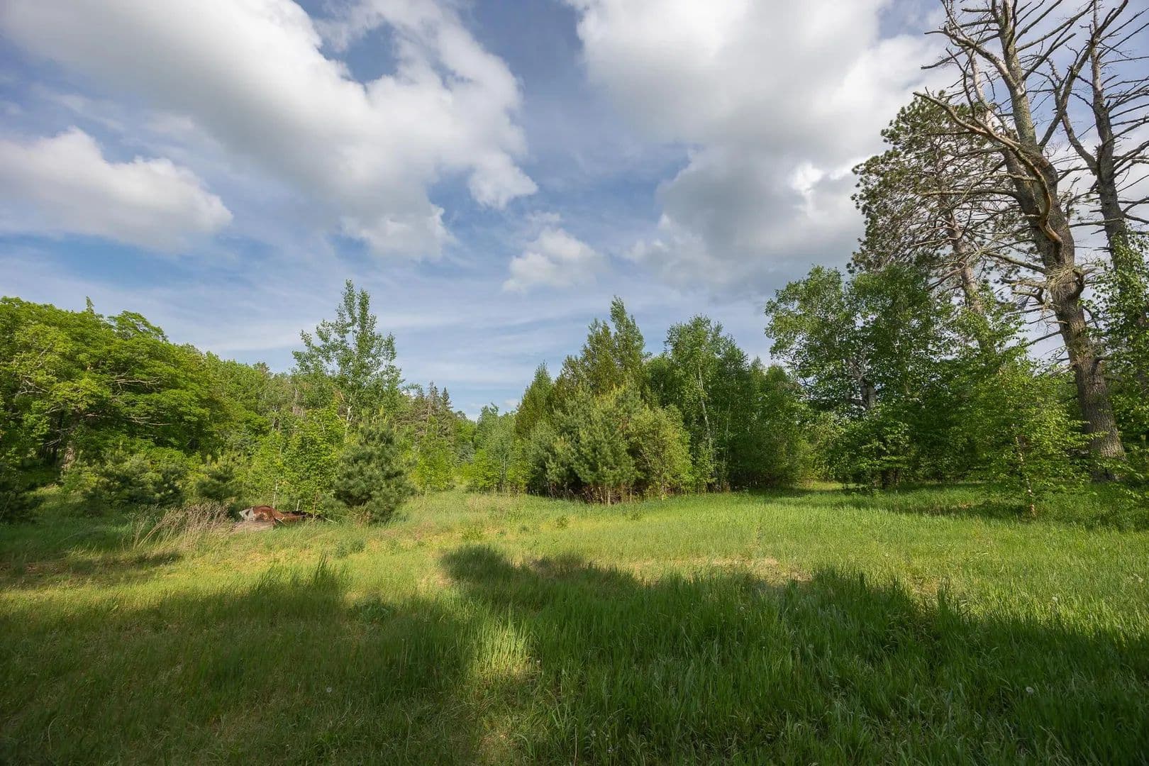 Property from 4249 County 7 NE - KW - Remer, Minnesota, 56672