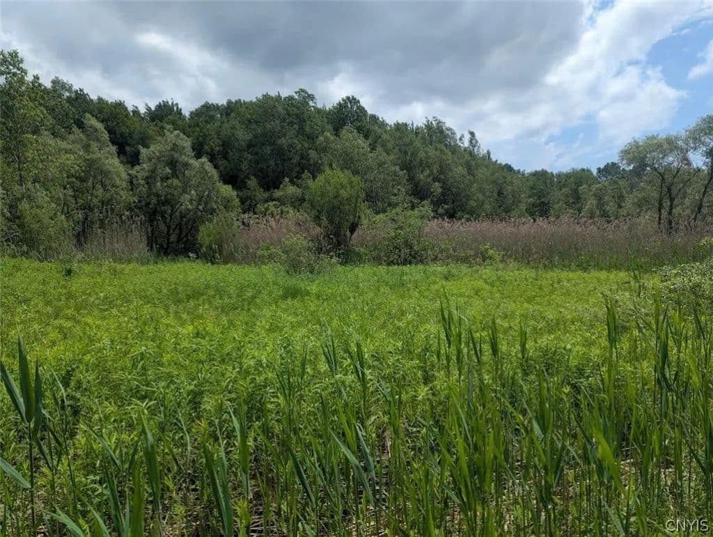 Land -Single Family Acreage in Rome - Rome, New York, 13440