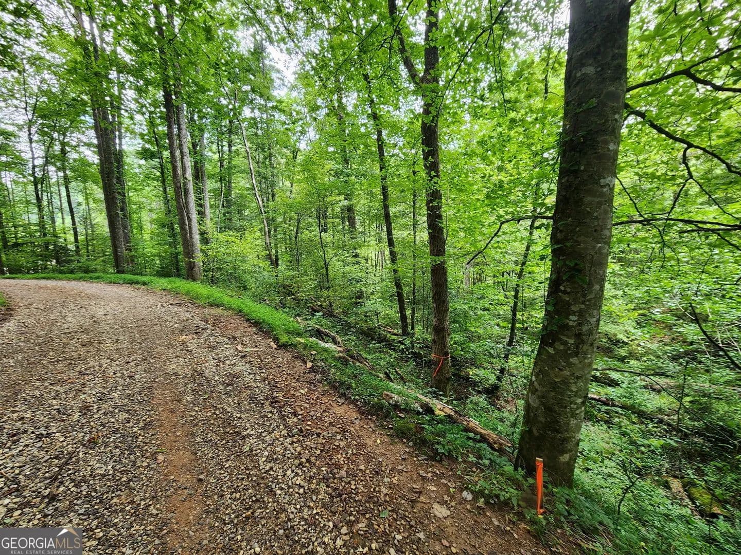 Property from TRACT 2B Poplar Cove Trail - KW - Suches, Georgia, 30572