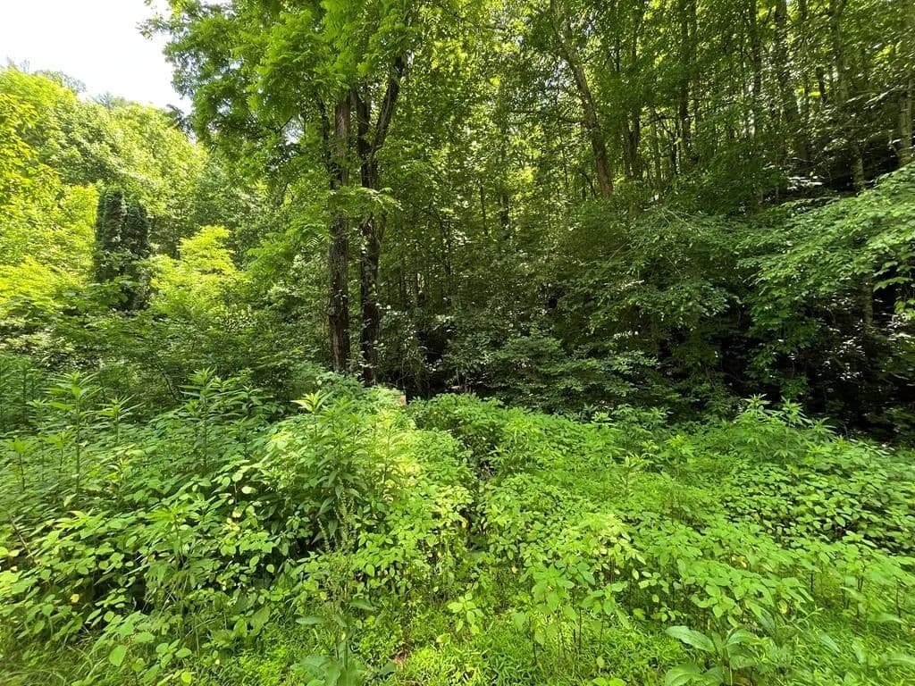 Property from 00 Mincey Rd - KW - Franklin, North Carolina, 28734