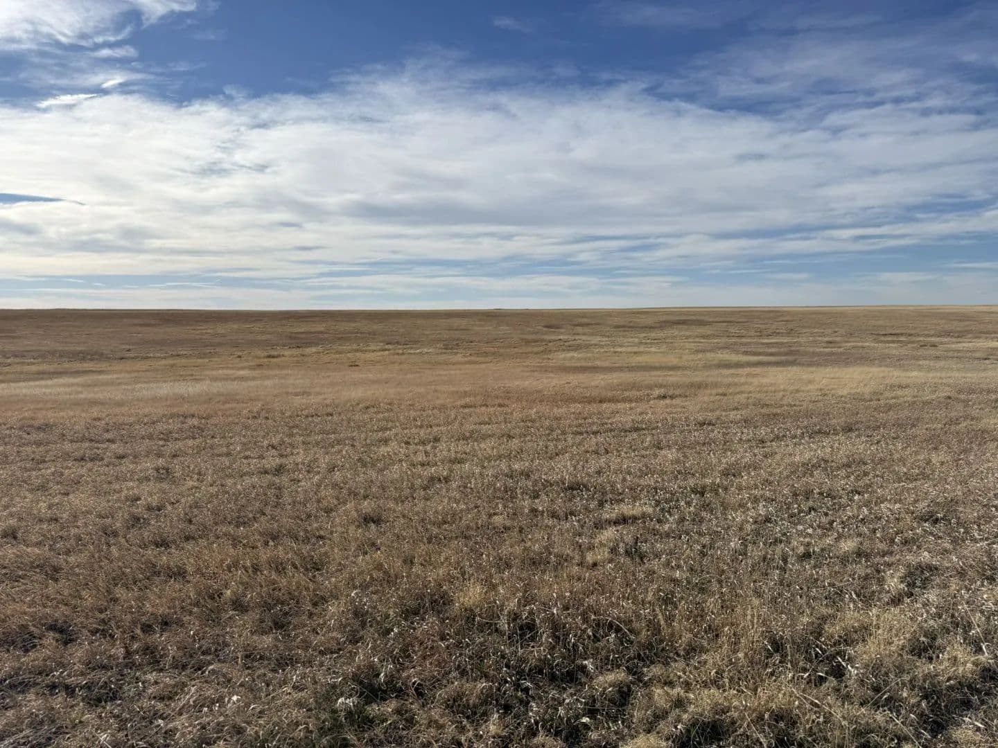 CRP For Sale Parcel #2 - land for sale