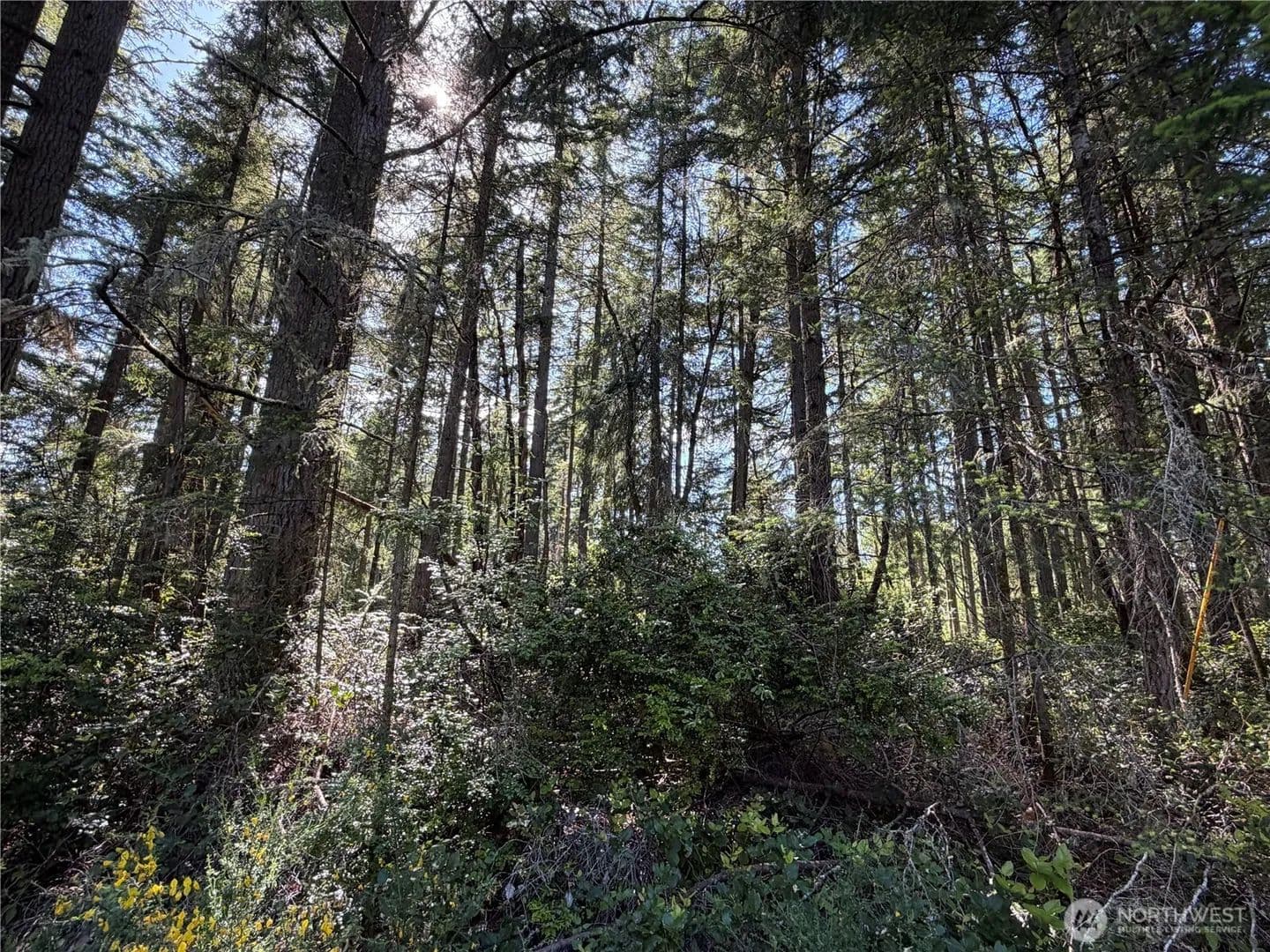 Vacant Land in Anderson Island - Anderson Island, Washington, 98303