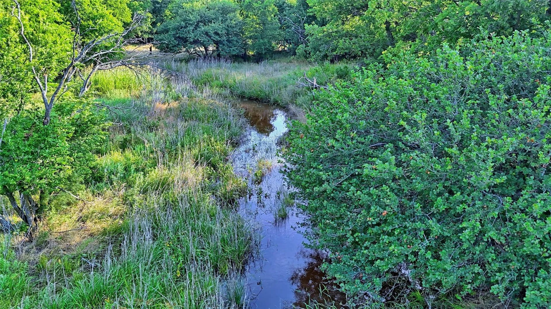 25.02 Acres of Land for Sale in Henrietta, Texas - Henrietta, Texas, 76365
