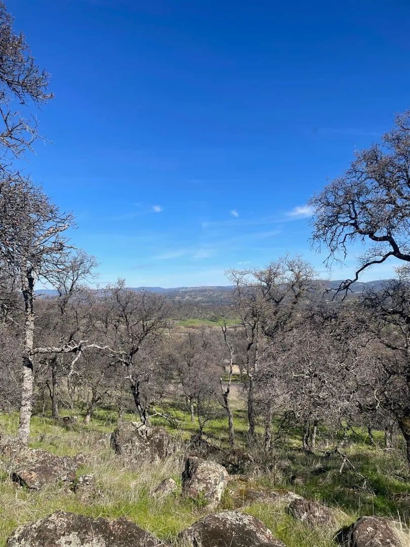 Property from 0 Stern Lane - KW - Browns Valley, California, 95918