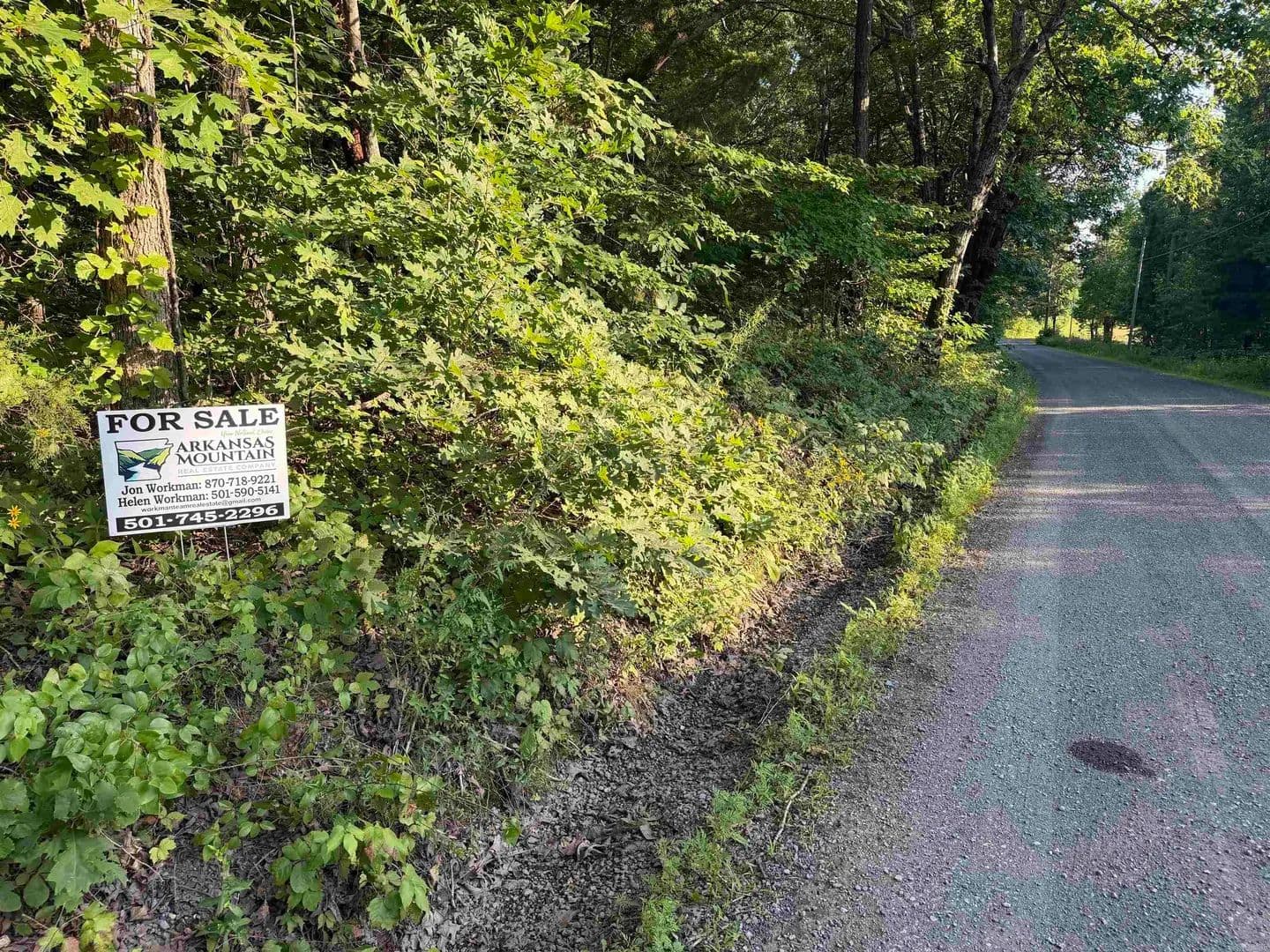 3.25 Acres of Land for Sale in Clinton, AR - land for sale