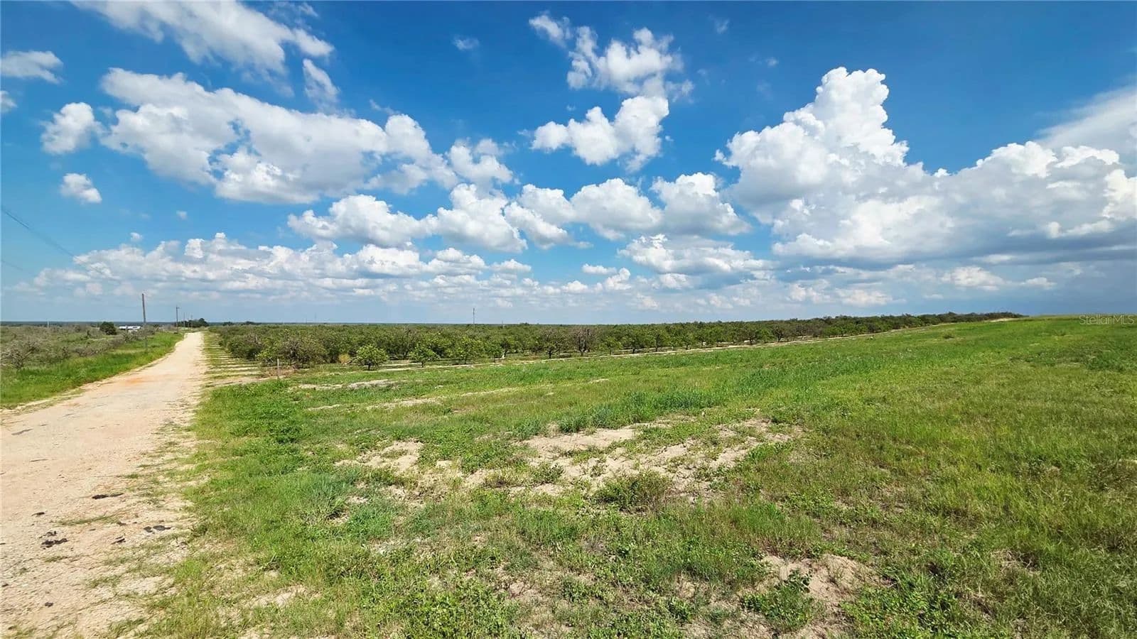 35.77 Acres of Land for Sale in BABSON PARK, FL - Babson Park, Florida, 33827
