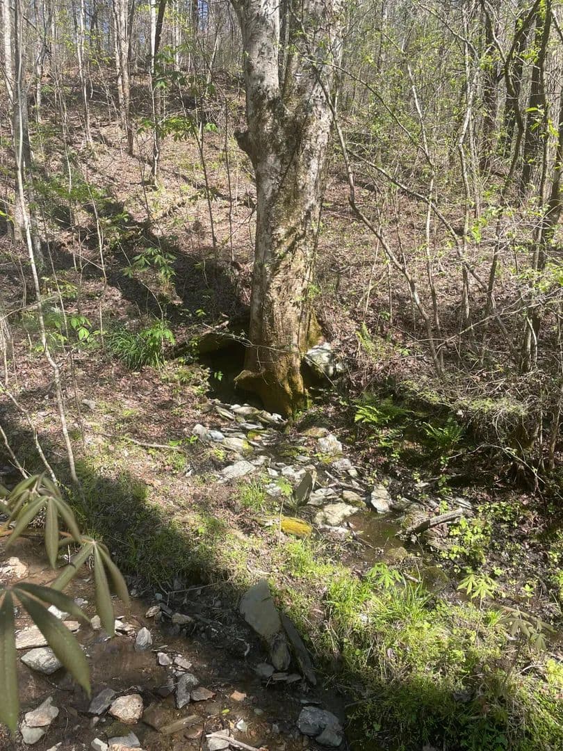 Property from Lot 1 Old Furnace Road - KW - land for sale