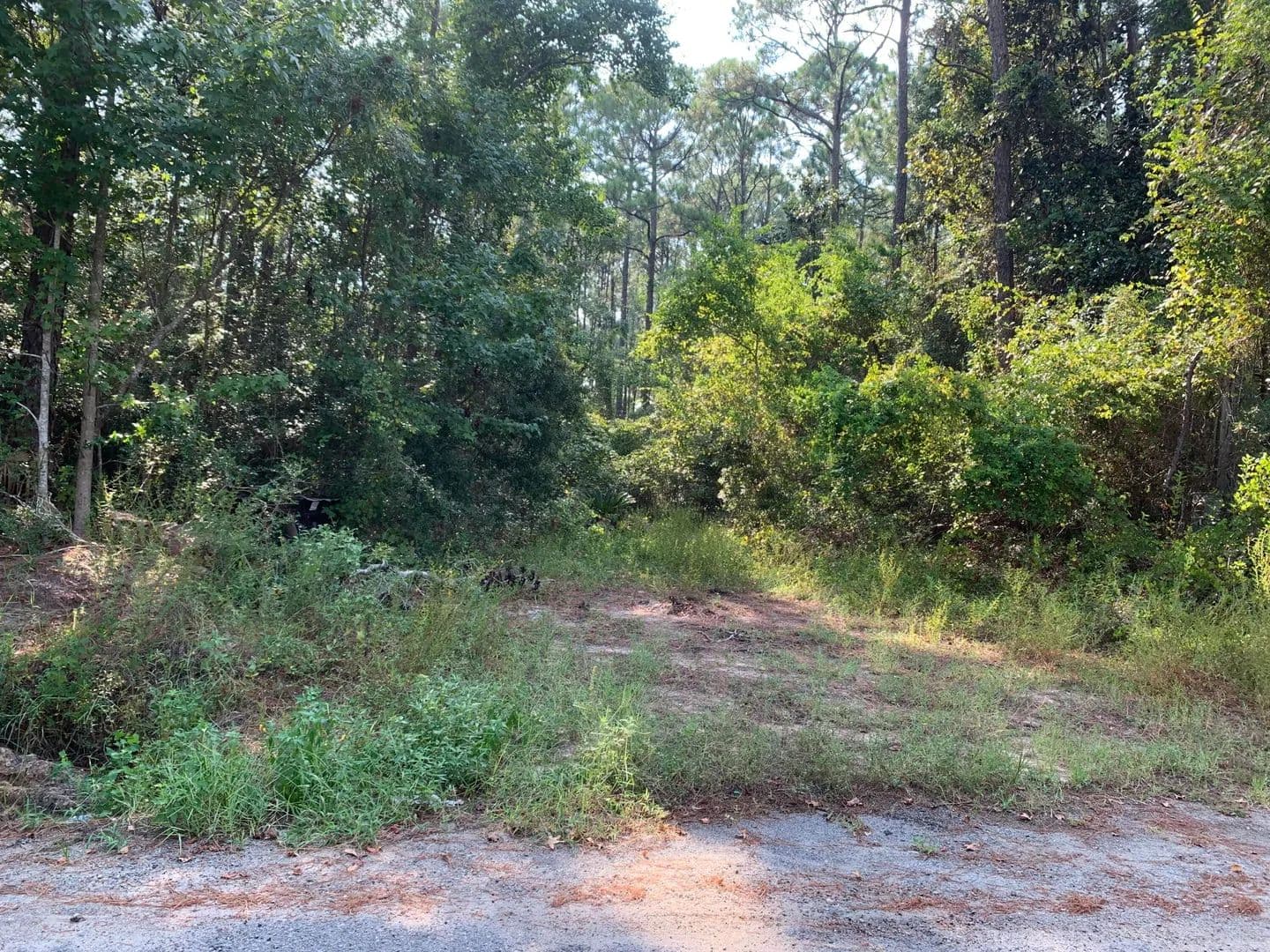 0.14 Acres of Land for Sale in Santa Rosa Beach, Florida - Santa Rosa Beach, Florida, 32459
