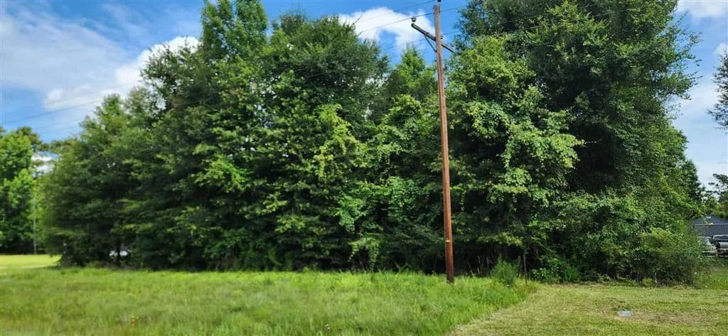 Property from E Highway 190 E - KW - Ragley, Louisiana, 70657