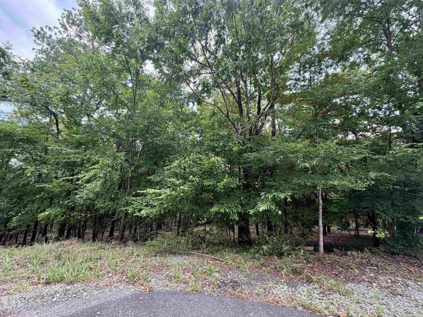 Property from 5 and 7 Binefar Trace - KW - Hot Springs Village, Arkansas, 71909
