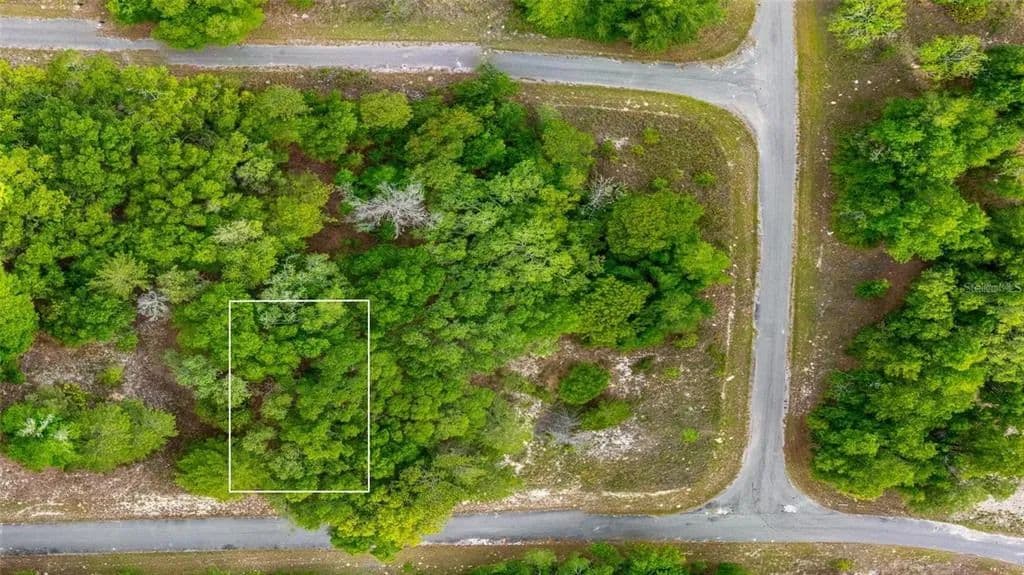 Vacant Land in Ocklawaha - Ocklawaha, Florida, 32179