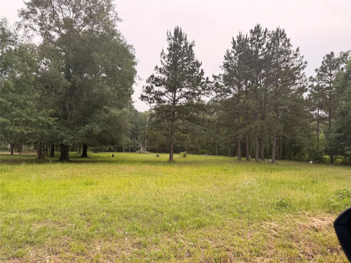 Property from 0 FOREST TRL - KW - Conroe, Texas, 77306