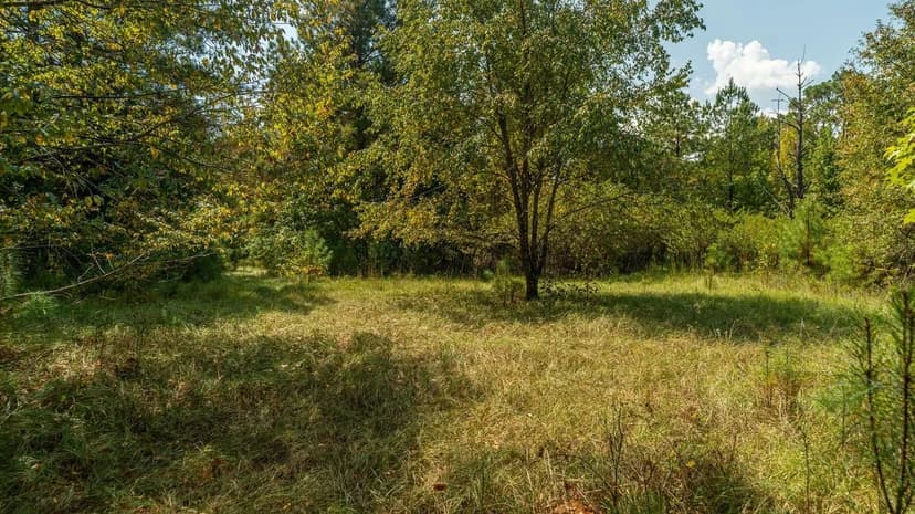 Secluded Beautiful 6+- ac Homesite in Wetumpka lot 3