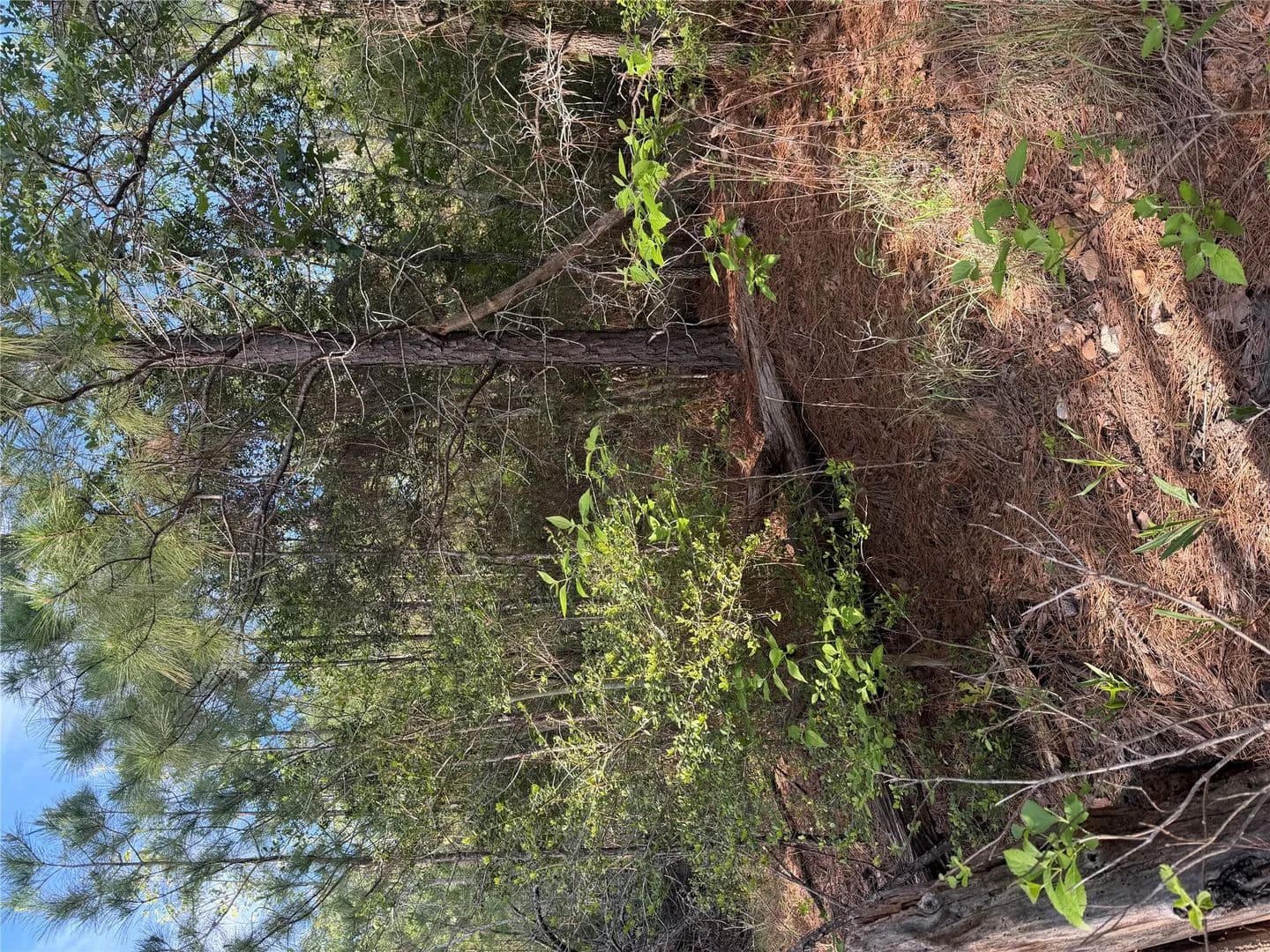 0.26 Acres of Land for Sale in Bastrop, Texas - Bastrop, Texas, 78602