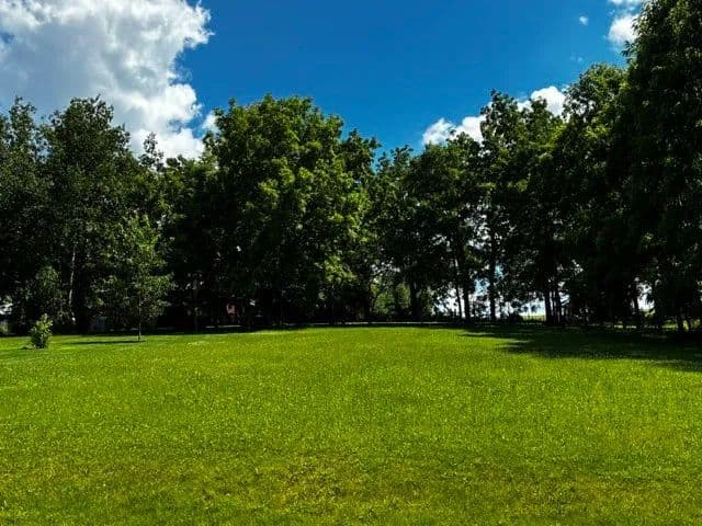 0.34 Acres of Land for Sale in Davis, IL - Davis, Illinois, 61019