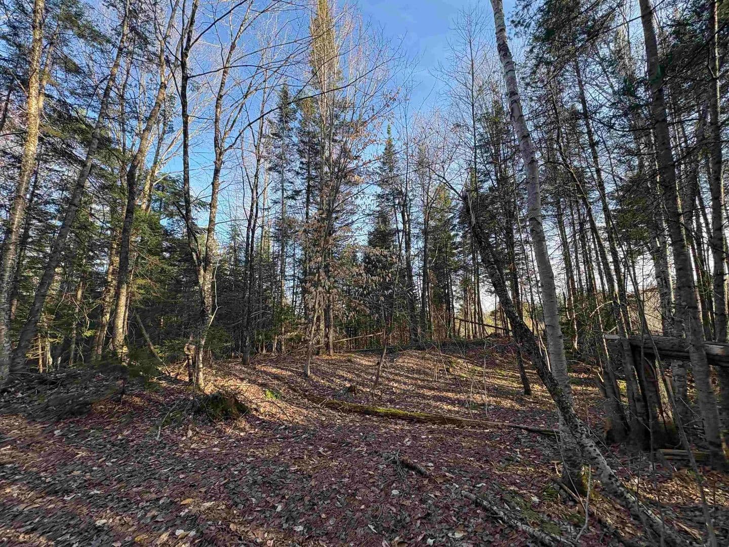 10.11 Acres of Land for Sale in Sheffield, VT - Sheffield, Vermont, 06359
