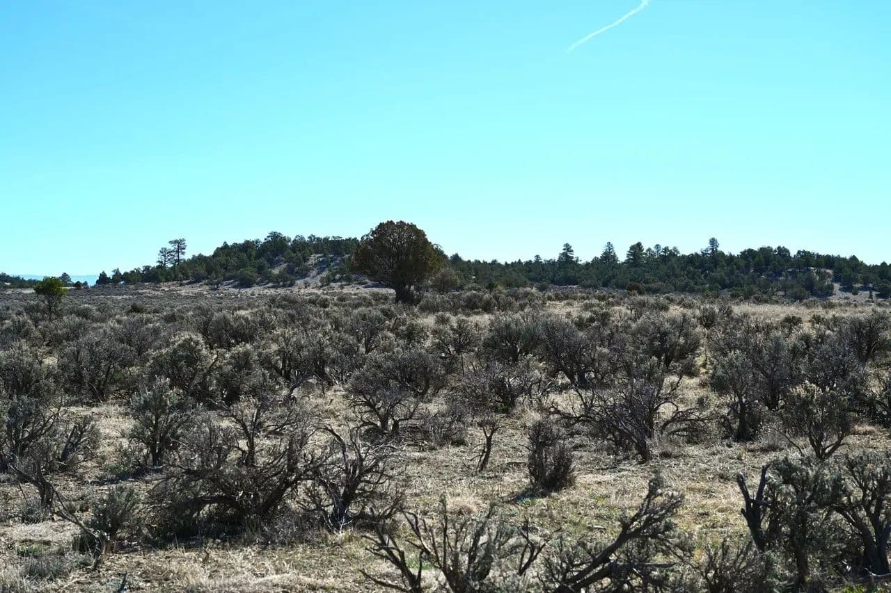 10 Acres Pajarito Rd - Tierra Amarilla, New Mexico, 87575