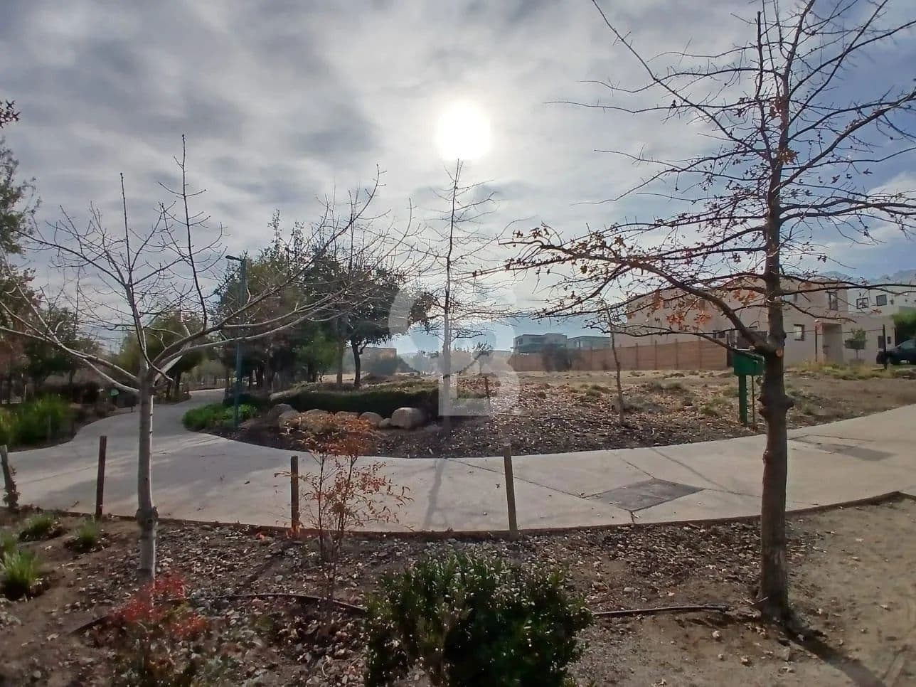 Vacant Land in Colina - land for sale