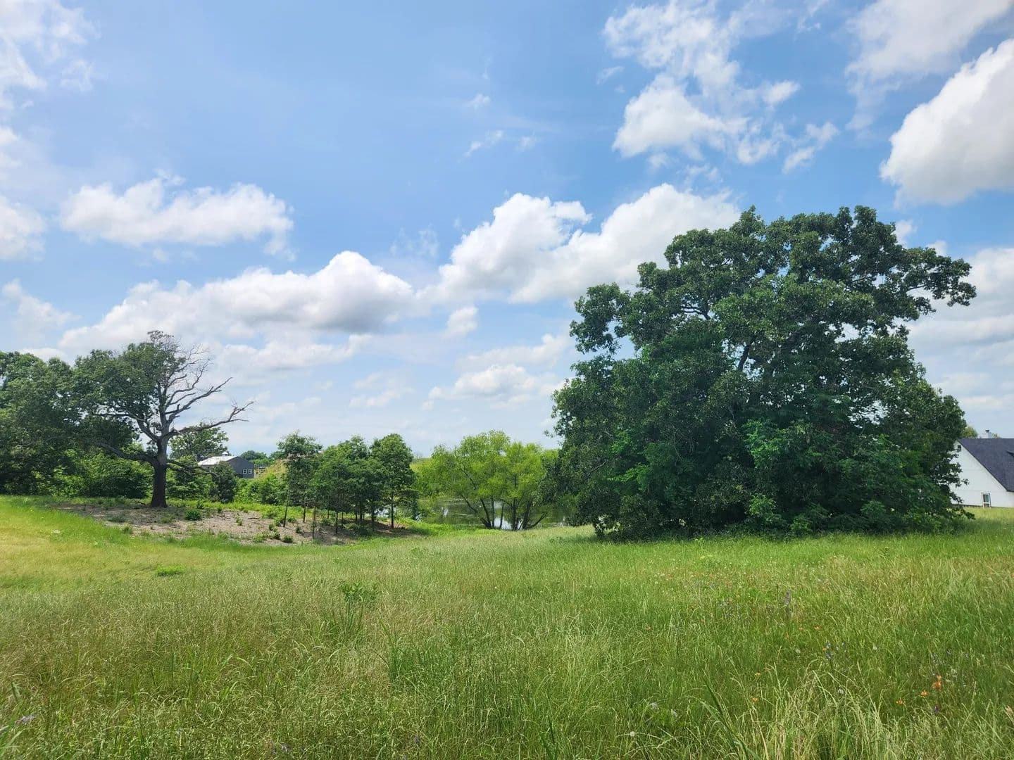 Vacant Land in Athens - land for sale