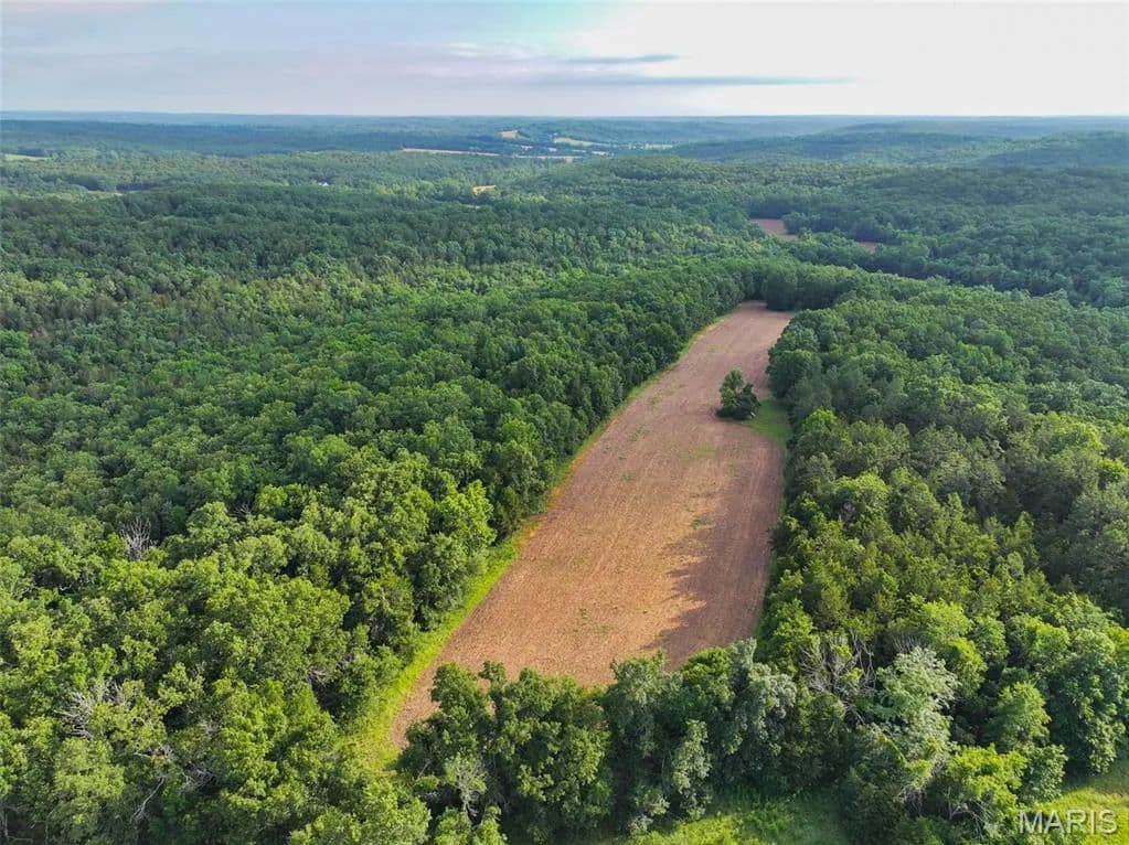 124 Acres of Land for Sale in Perryville, MO - Perryville, Missouri, 63775