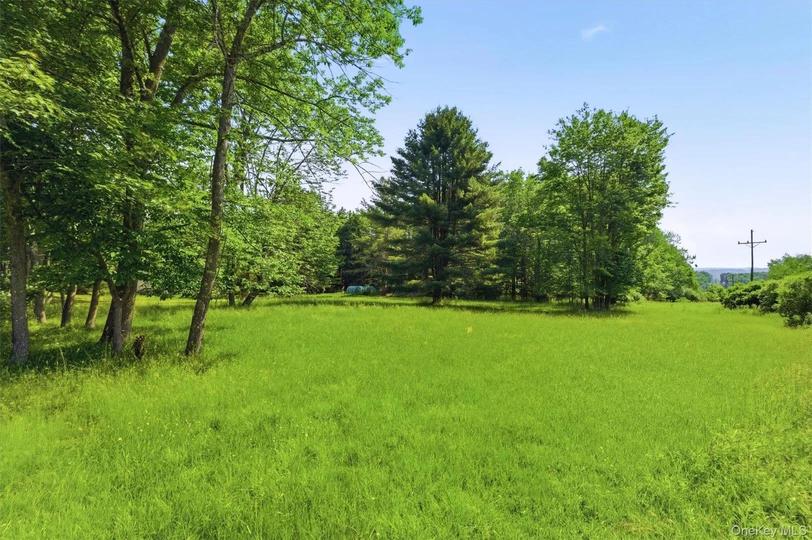 Land for Sale in Bethel, New York - land for sale