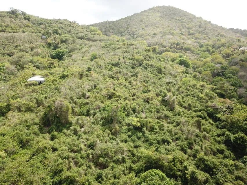 Vacant Land in St. Croix - land for sale