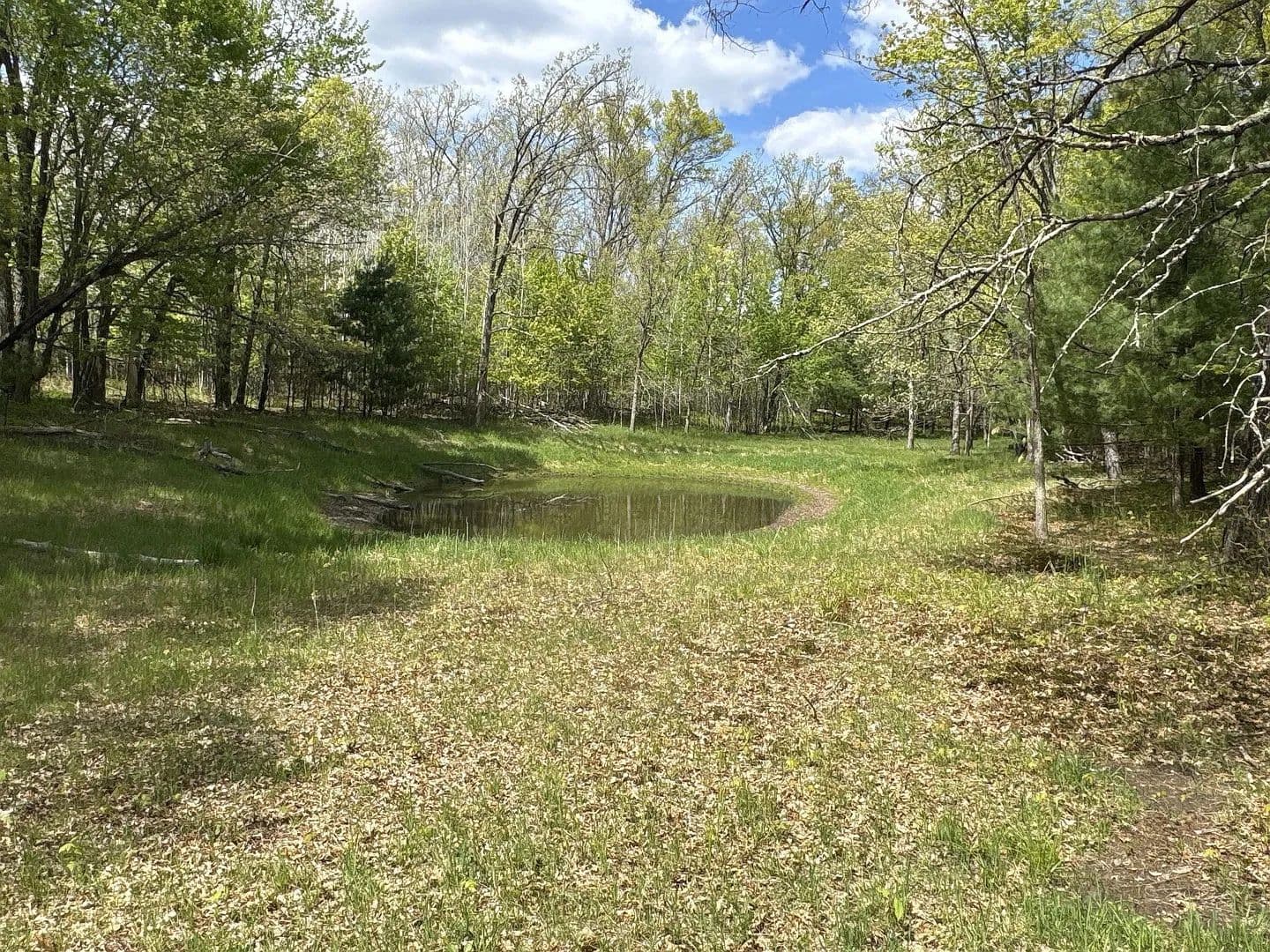 79 Acres of Land for Sale in Webster, Wisconsin - Webster, Wisconsin, 54893