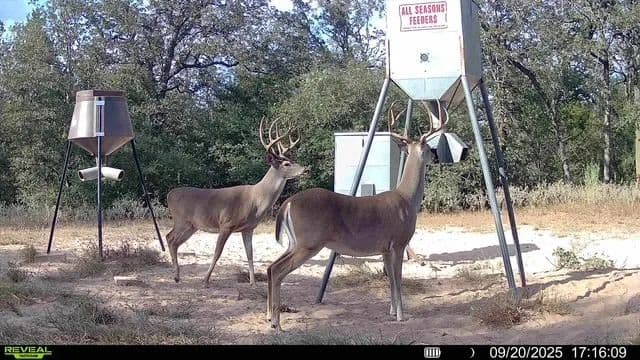 Vacant Land in Ottine - Ottine, Texas, 78658