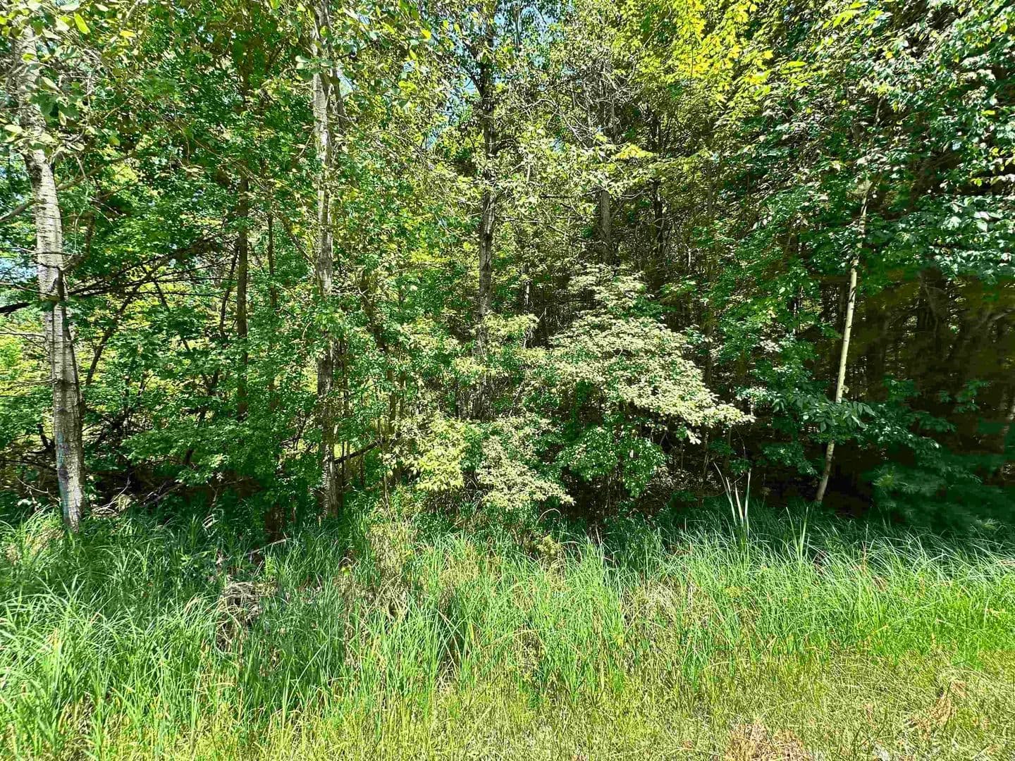 Vacant Land in Beaverton - land for sale