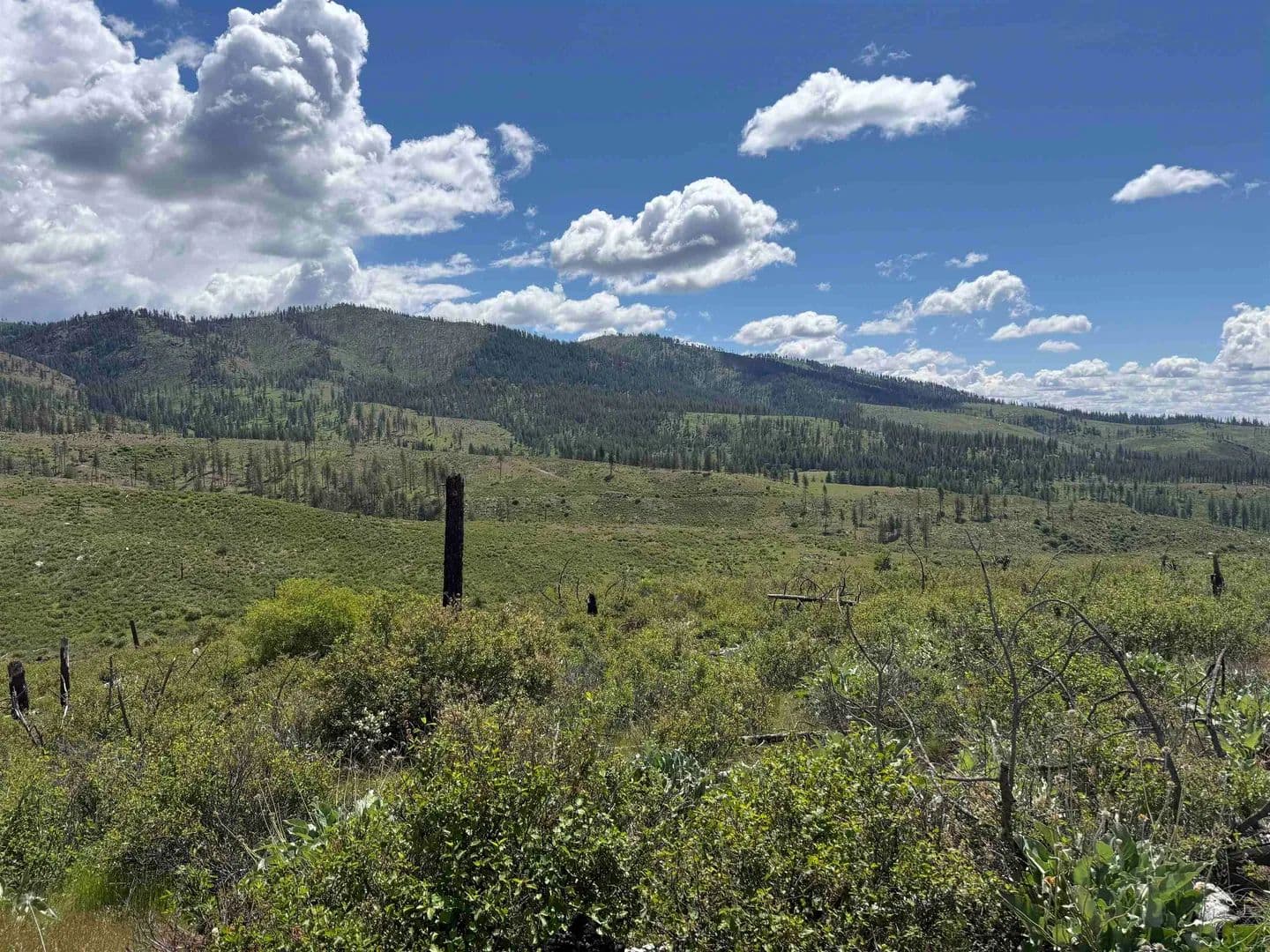 Property from TBD Coyote Canyon Rd - KW - Fruitland, Washington, 99129