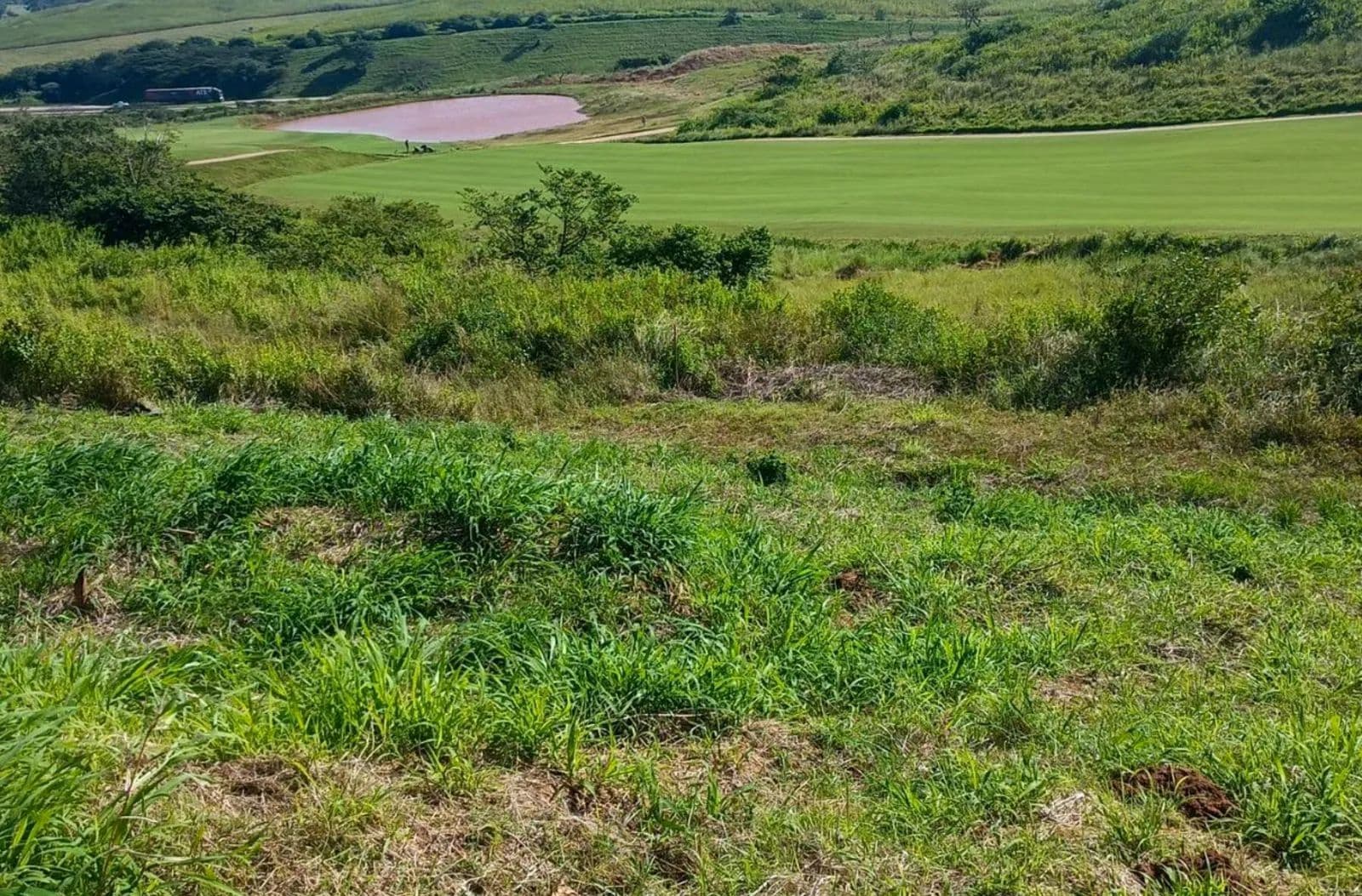 913 Acres of Land for Sale in Ballito, KwaZulu Natal - land for sale
