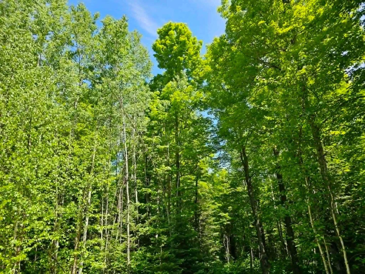 10 Acres of Land for Sale in Iron Mountain, Michigan - Iron Mountain, Michigan, 49801