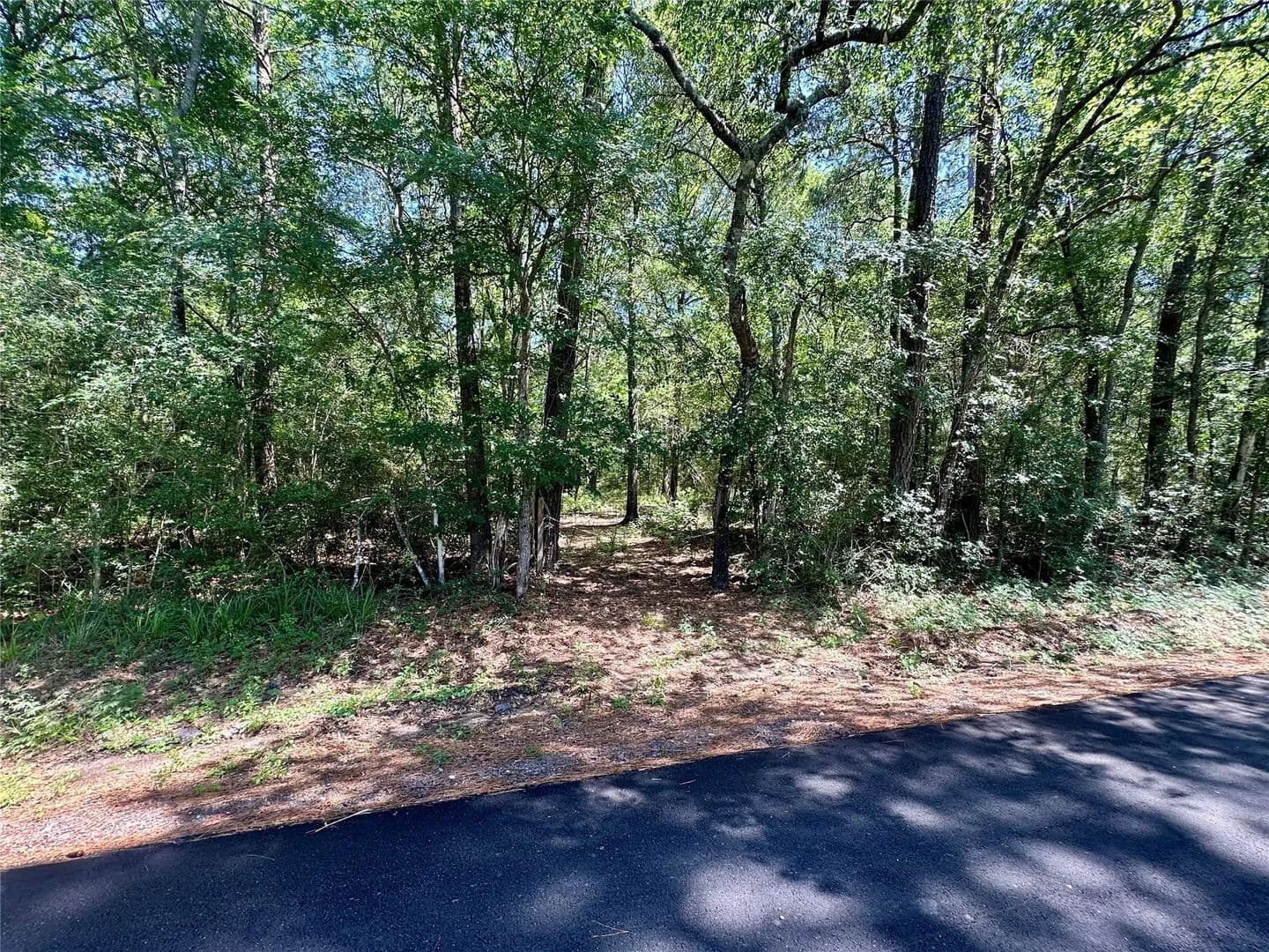 Property from 0 Taliaferro Road - KW - Richards, Texas, 77873